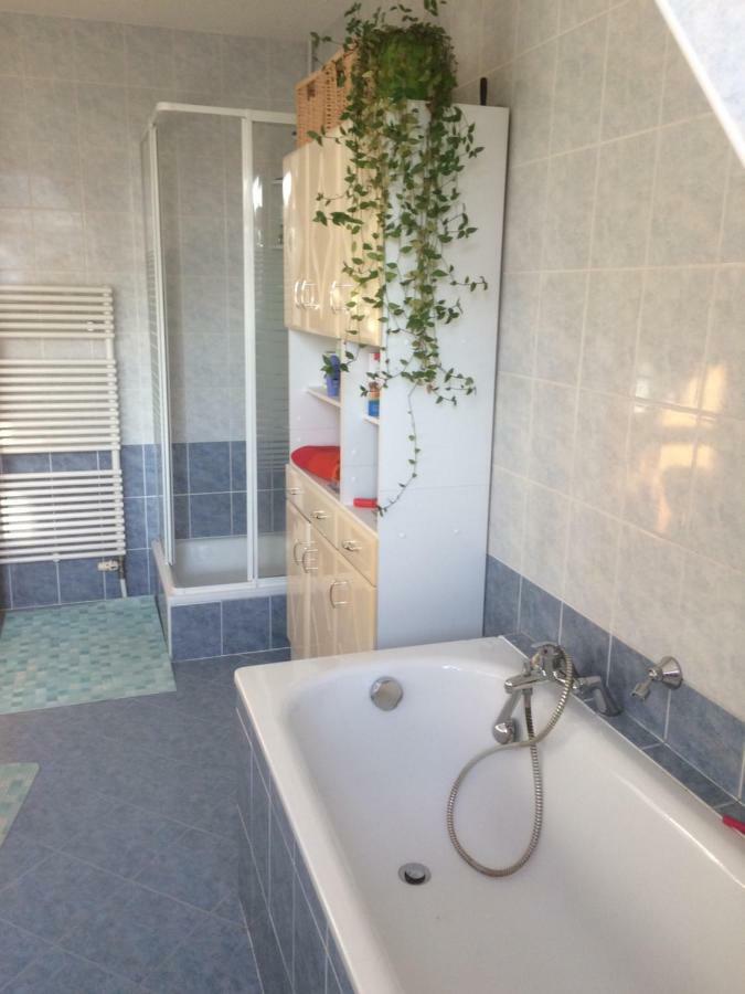 הוילה פירנה Haus Sonnenstein מראה חיצוני תמונה